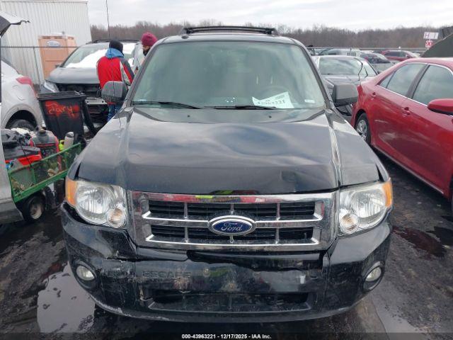 Ford Escape Xlt Image 4