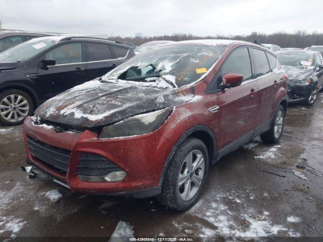 Ford Escape Se Image 6
