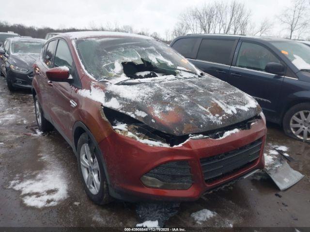 Ford Escape Se Image 3