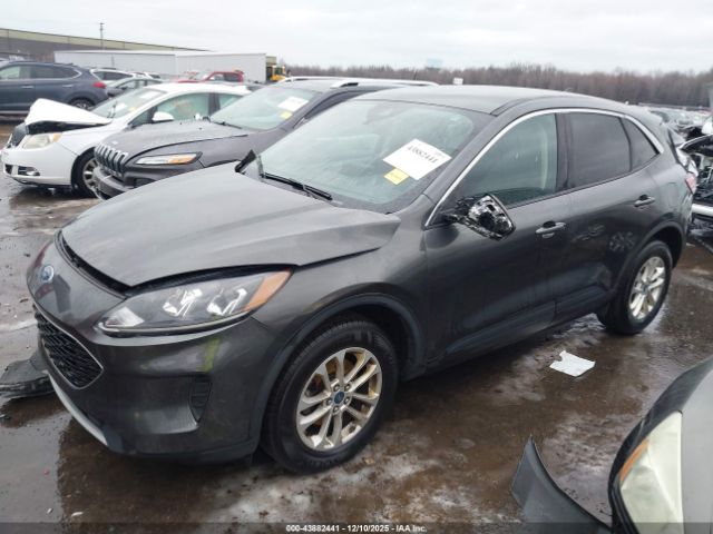 Ford Escape Se Image 9