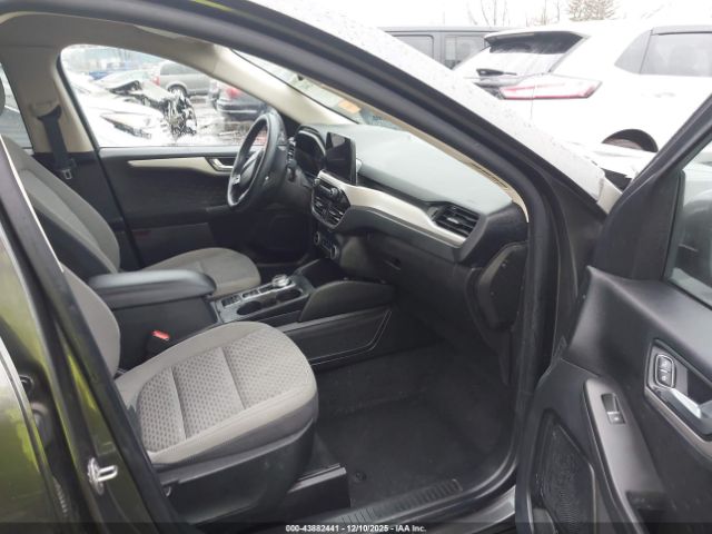 Ford Escape Se Image 7