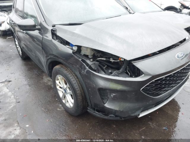 Ford Escape Se Image 14