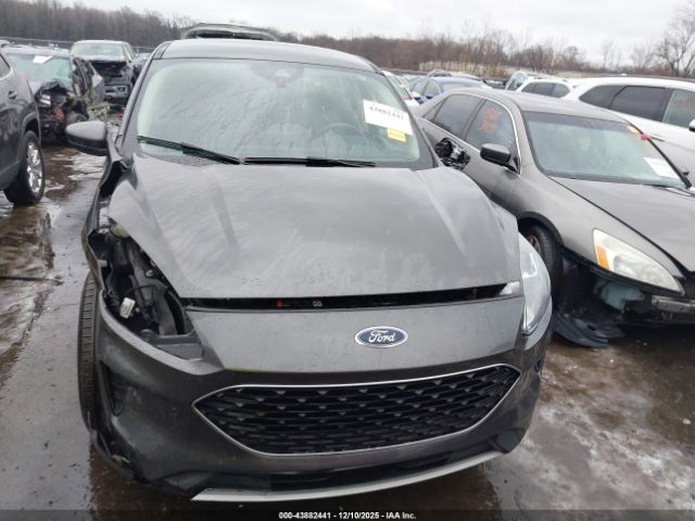 Ford Escape Se Image 17