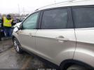 Ford Escape Titanium Image 9