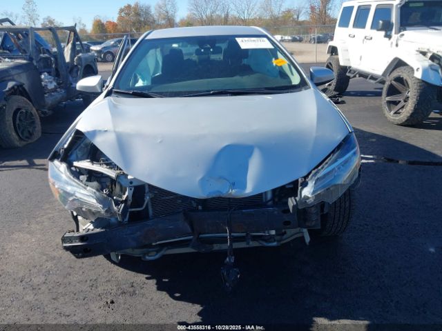 Toyota Corolla Le Image 6