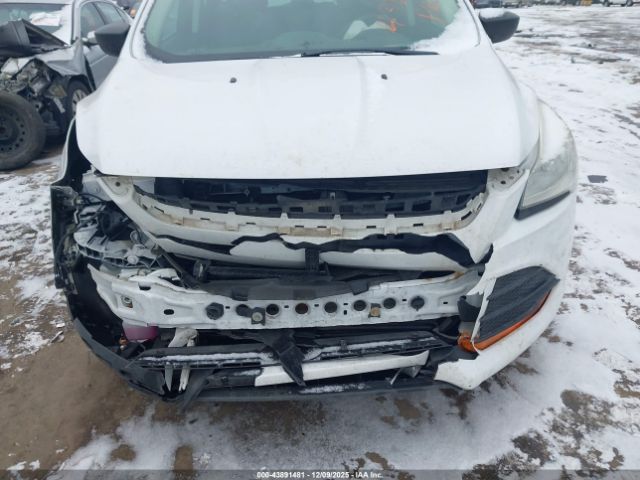 Ford Escape S Image 7