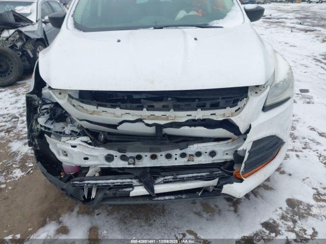 Ford Escape S Image 7