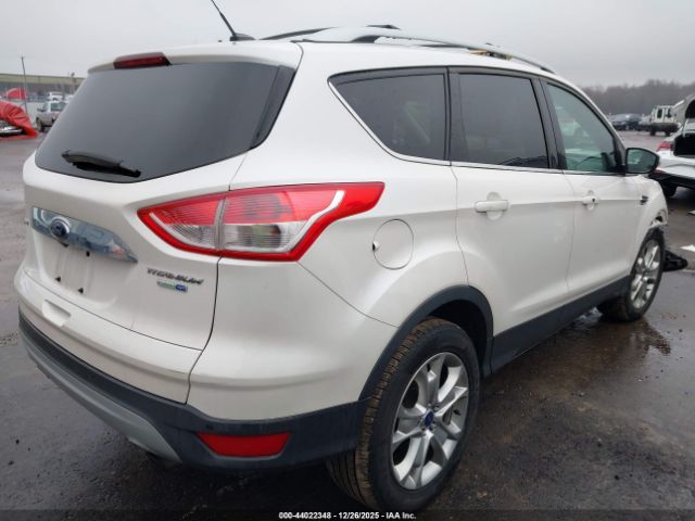 Ford Escape Titanium Image 4