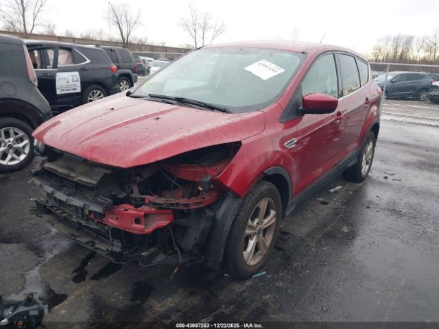 Ford Escape Se Image 5