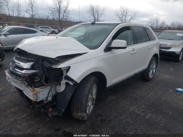 Ford Edge Limited Image 5