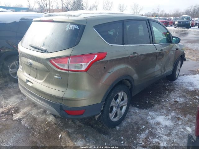 Ford Escape Se Image 4