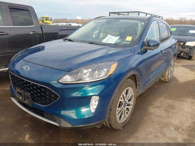 Ford Escape Sel Image 3