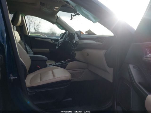 Ford Escape Sel Image 4