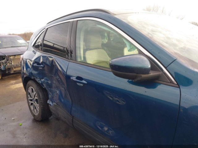 Ford Escape Sel Image 6