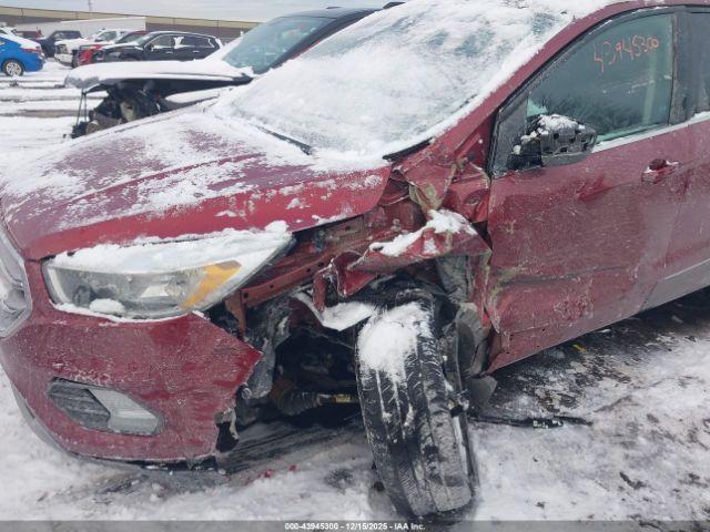 Ford Escape Se Image 6