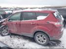 Ford Escape Se Image 13