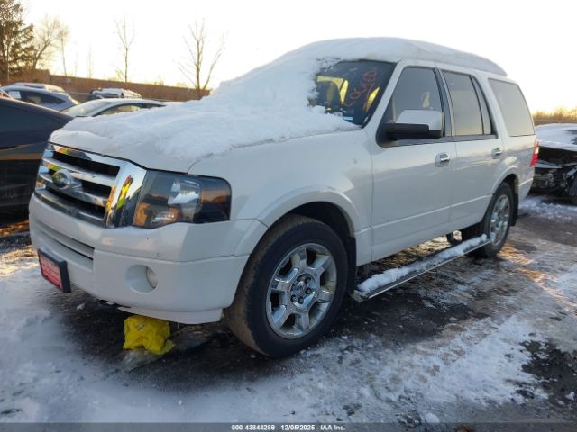 Ford Expedition Limited Image 4