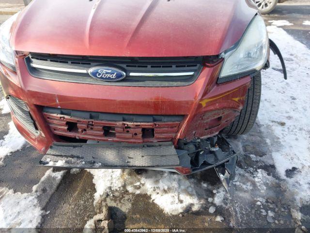 Ford Escape Se Image 5