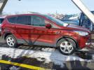 Ford Escape Se Image 13
