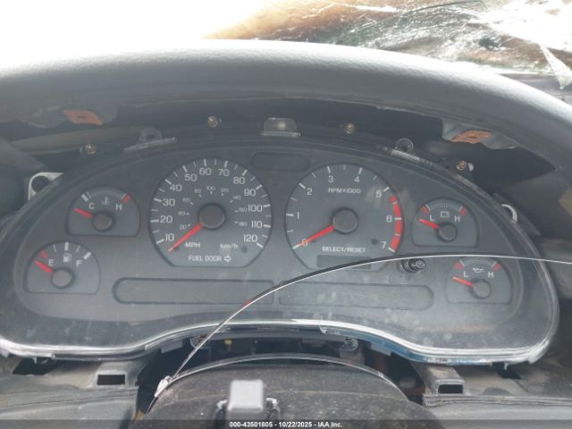 Ford Mustang Image 3