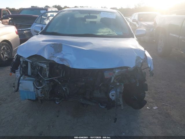 Toyota Corolla Le Image 9