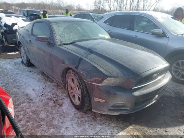 Ford Mustang V6 Image 1