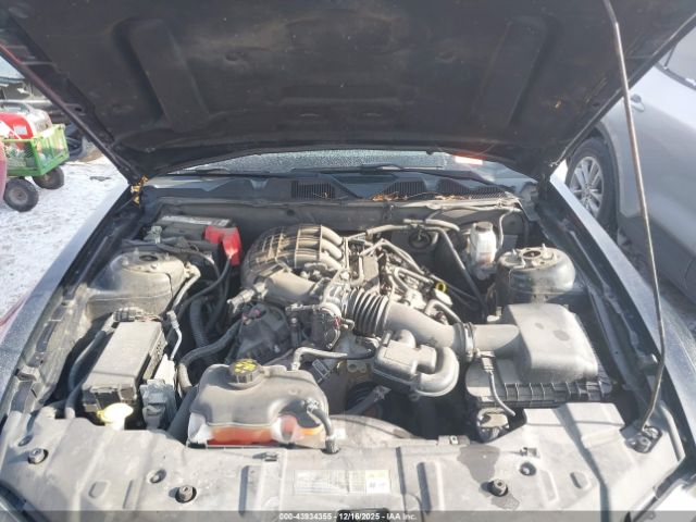 Ford Mustang V6 Image 7