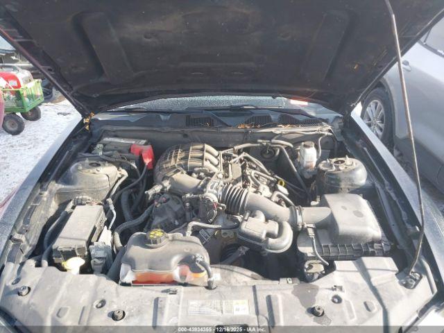 Ford Mustang V6 Image 7