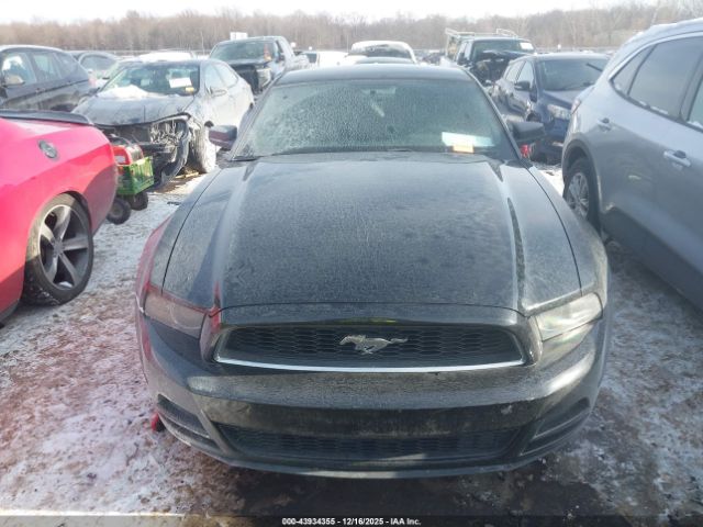 Ford Mustang V6 Image 15