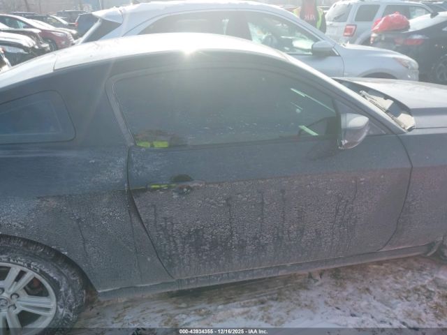 Ford Mustang V6 Image 13