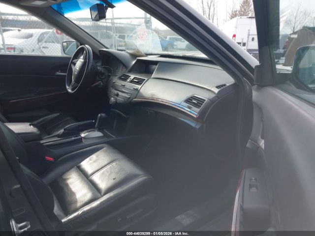 Honda Crosstour Ex-l Image 4