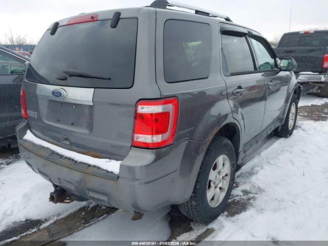 Ford Escape Limited Image 7