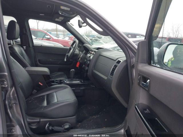 Ford Escape Limited Image 4