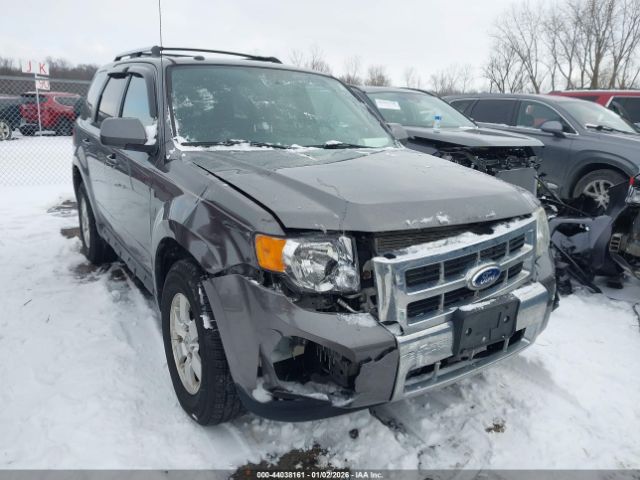 Ford Escape Limited Image 3