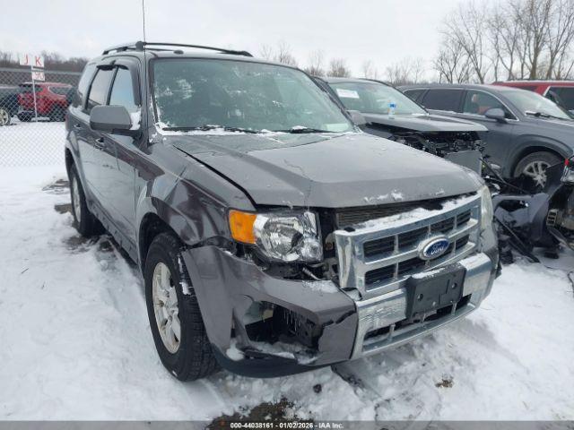 Ford Escape Limited Image 3