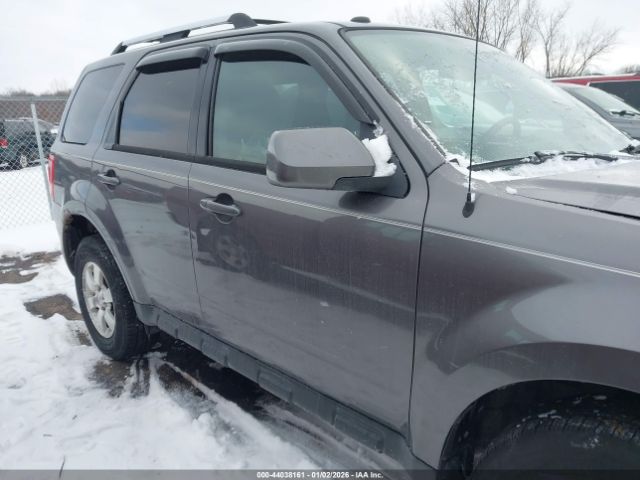 Ford Escape Limited Image 9