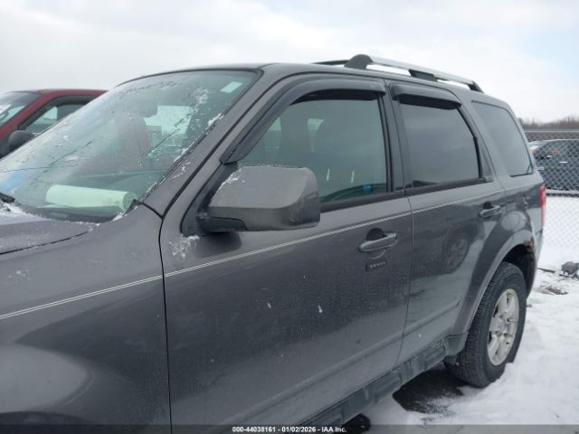 Ford Escape Limited Image 10