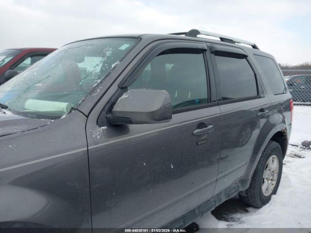 Ford Escape Limited Image 10