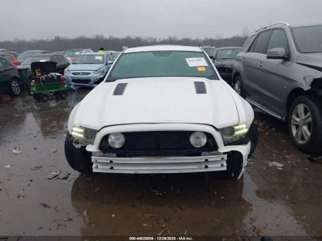 Ford Mustang Gt Image 12