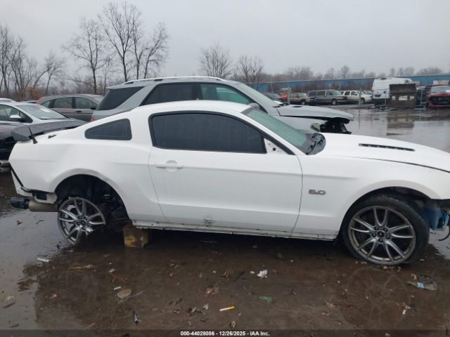 Ford Mustang Gt Image 11