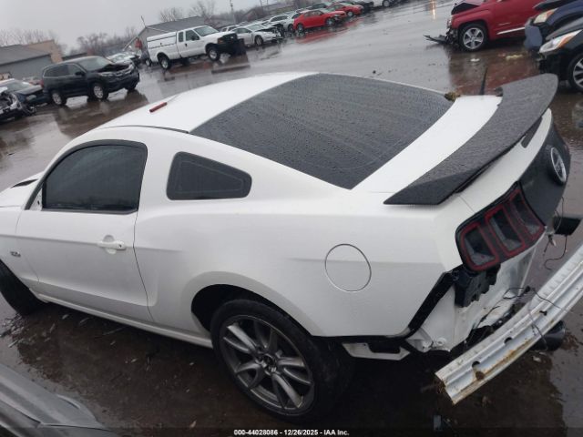 Ford Mustang Gt Image 16