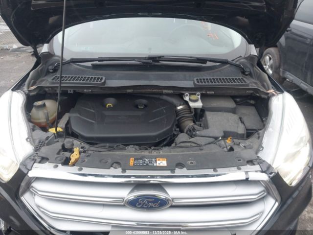 Ford Escape Titanium Image 5