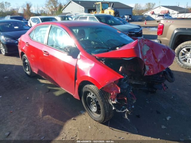 Toyota Corolla Le Image 1