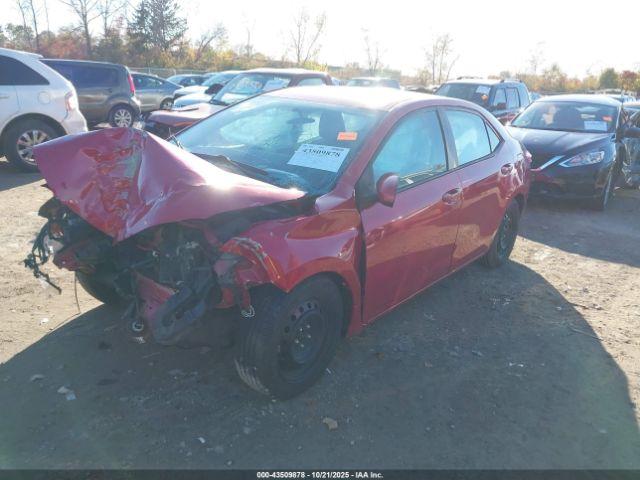 Toyota Corolla Le Image 3