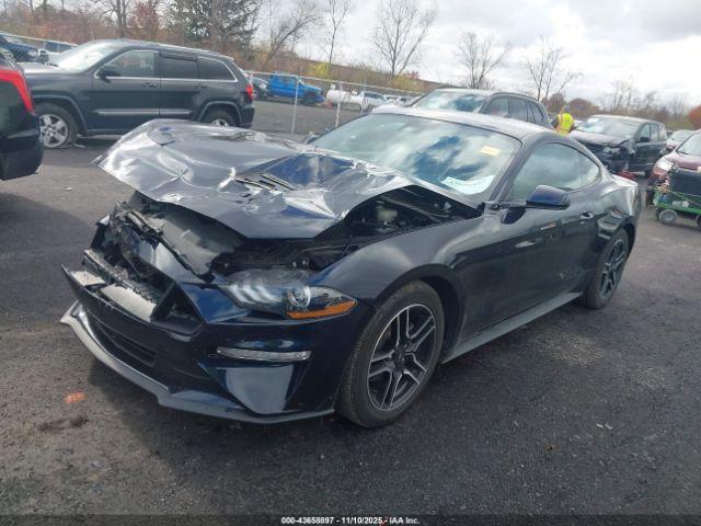 Ford Mustang Ecoboost Fastback Image 2