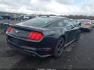 Ford Mustang Ecoboost Fastback Image 5