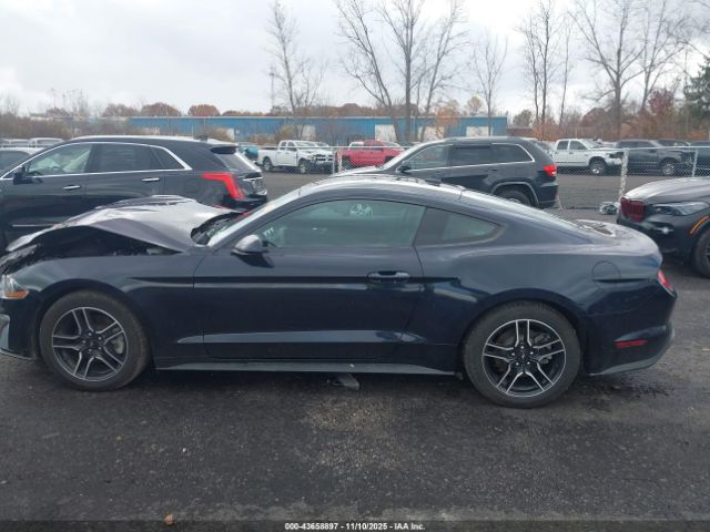 Ford Mustang Ecoboost Fastback Image 13