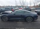 Ford Mustang Ecoboost Fastback Image 13