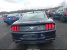 Ford Mustang Ecoboost Fastback Image 15