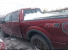 Ford F-150 Fx4 Image 12